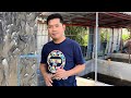 FARM UPDATE: TILAPIA FARMING USING RECIRCULATING AQUACULTURE SYSTEM (RAS) | CLEANING TILAPIA POND