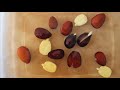 how to grow carob tree from seed