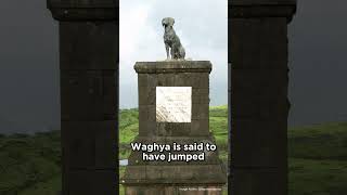 Dog who sacrificed himself #dogs #dogstatue