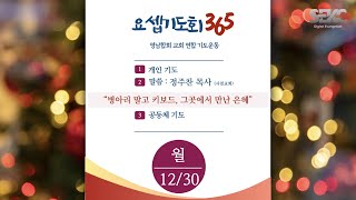 요셉기도회 365 (2024.12.30) | 병아리 말고 키보드, 그곳에서 만난 은혜 | 정주찬 목사