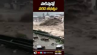 పాకిస్తాన్లో వరద బీభత్సం దృశ్యాలు | Pakistan floods | #shorts | 10TV