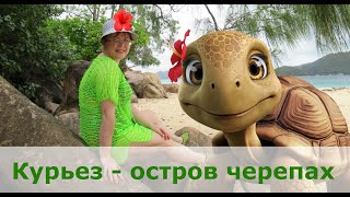 Путешествие на остров Черепах