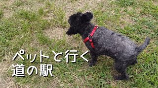 【道の駅】道の駅みつ★道の駅あいおい★室津漁港などペットと観光