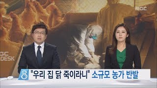 제주MBC 리포트_우리 집 닭 죽이라니 소규모 농가 반발_이소현