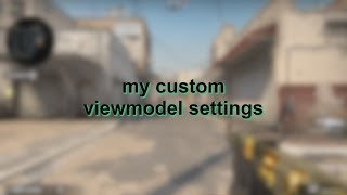 my custom viewmodel settings