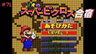 ボブのピクロス合宿　～71日目～【マリオのスーパーピクロス】