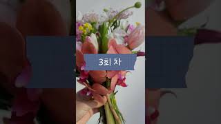 KBOA 압화부케액자 마스터 클래스 자격과정 #공방 #꽃 #압화 #부케 #공방창업