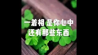 201302 一着相　是你心中还有那些东西25303