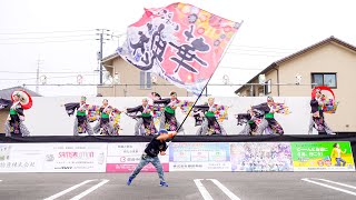 [4K] いよさこい！！華魅　かんおんじ銭形まつり 2024 銭形よさこい(銭よさ)