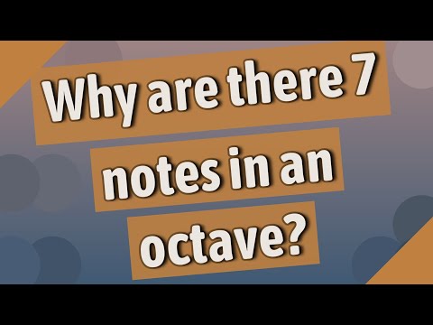 Why are there 7 notes in an octave?