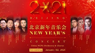 Concert celebrating the New Year