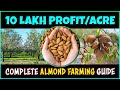 Almond Farming: Step by Step Complete Guide | How to grow Almonds Tree from Seed at Home