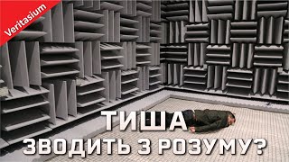 Чи може тиша вплинути на ваш психічний стан [Veritasium]