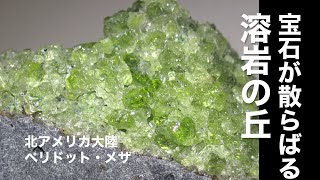 宝石が散らばる溶岩の丘　北アメリカ大陸ペリドット・メサ