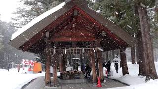 20190204札幌大雪 北海道神宮。圓山公園。雪祭大通公園會場