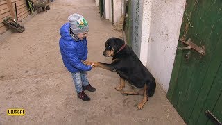 Dzieciństwo naznaczone chorobą. Ratujmy Nikosia! (UWAGA! TVN)