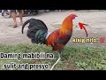 Episode 14: Bentahan ng Manok sa Padre Garcia Batangas