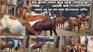 খামার তো নয় যেন বাচ্চা উৎপাদনের মেশিন |Goat Farming | রাম ছাগল পালন করে চমক দেখিয়েছেন মেহেদী ভাই