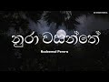 Nura Wasanthe ( නුරා වසන්තේ ) | Lyrics | Nadeemal Perera