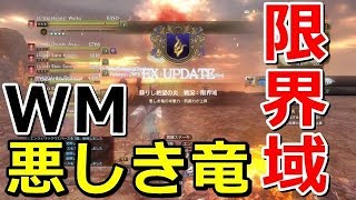 【DDON】WM悪しき竜　限界域　3分4秒