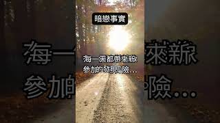 愛情的冒險：暗戀之美 #愛情語錄 #shorts