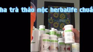 Cách pha trà thảo mộc Herbalife chuẩn nhất