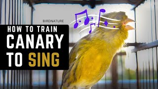 How to Train a Canary to Sing