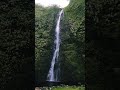 i would walk on water.... to get back to you. wai ilikahi falls waimanu valley big island hawaii