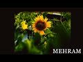 MEHRAM - RIPUNJAY ( OFFICIAL MUSIC VIDEO ) // RIPUNJAY// RS // NEW SONG 2024