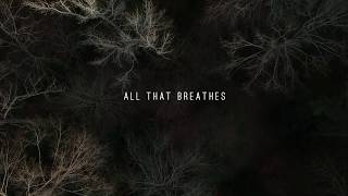 Andrew Word | All That Breathes (lyric video)