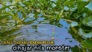 Jiwa mancing mu meronta lihat ini,,! Mancing monster nila strek bertubi - tubi