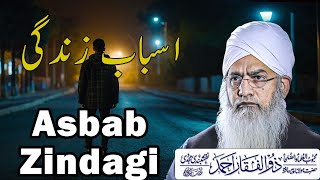 Asbab Zindagi |Zindagi May Sokon Kaysay Ayiga |Peer Zulfiqar Ahmad Naqshbandi Sahab