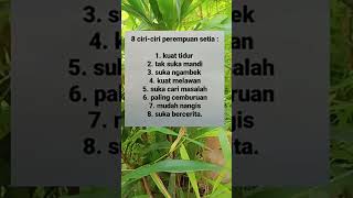 8 Ciri Perempuan Setia #shorts #short #shortsviral #fyp