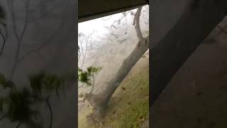 Man Watches a Tornado Destroy His Neighborhood From His Porch #fypage #fup