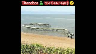 दुनिया का सबसे बडा साप का कंकाल 😯 Titanoboa Snake | snake video #shorts #snake #saamp #sanp