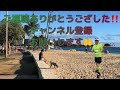 【全国高校駅伝】12月25日スタート！第73回男子！全力応援、注目チームや選手は？