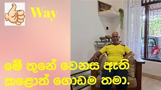 ඇල්පිටියේ  වෙනස  බලමු.