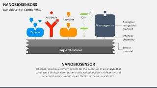 Nanobiosensors Animated Presentation Slides