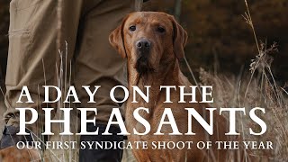 A Day on the Pheasants | Our First Shoot of the Season.