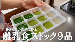 離乳食ストック9品/生後５か月