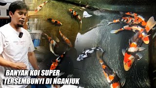 FOUND A GREAT KOI KEEPER IN NGANJUK WITH 'JARING SUWEK'