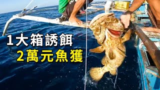 幾十斤魚餌，一口氣釣了2萬元魚獲，嘗到甜頭後直接拿東星斑當餌！