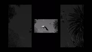 How to make this floating effect!! #tutorial #davinciresolve #editing