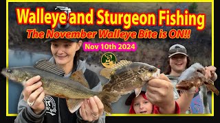 Want to Catch More Walleye? Watch This Expert Guide Now