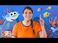 Baby Shark | Songs from Caitie's Classroom