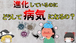 【ゆっくり解説】進化しているのに、どうして病気になるの？