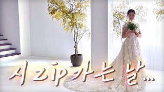 일상 | 깨몬 시집가는 날 ♥ Wedding day_jeonju studio ♥