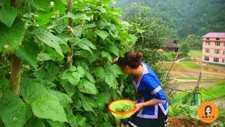 农村女孩这道菜让人吃出了别样的味道，原来四季豆还可以这样吃