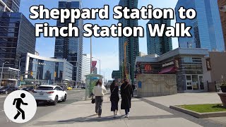 ⁴ᴷ⁶⁰ Toronto Sheppard Station to Finch Station | Walk along Yonge Street