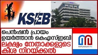 സംഘടനാ നേതാക്കൾക്ക് വേണ്ടി പെൻഷൻ പ്രായം ഉയർത്താൻ വൈദ്യുതി ബോർ‌ഡ് | kseb pension age